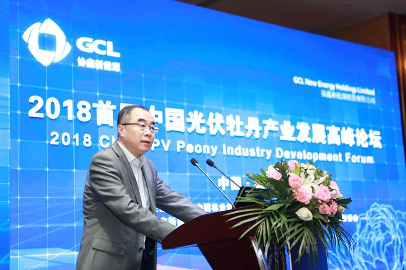 协鑫新能源执行总裁徐阳